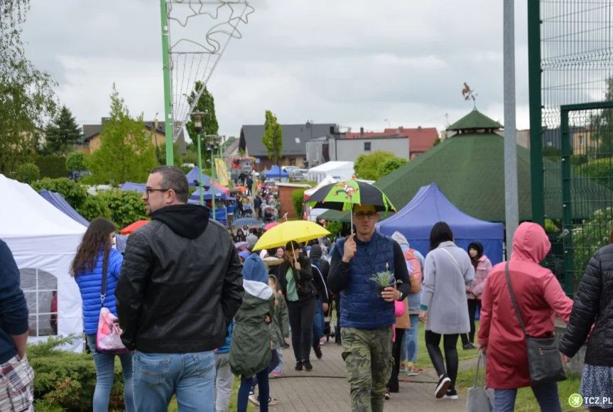 Tczew - Piknik na Górkach