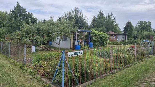 Tczew - Działka ROD - Tczew Suchostrzygi