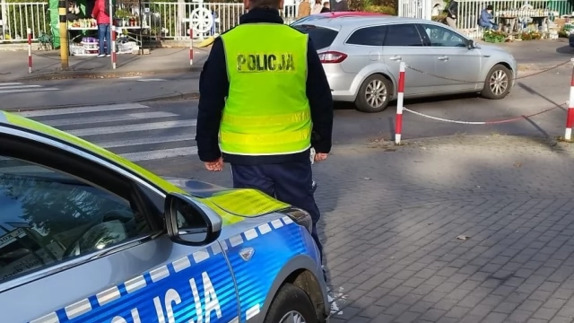 Tczew - 7 kolizji w pierwsze dni listopada - w tym zderzenie z sarną, dzikiem oraz cielakiem