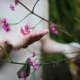 Tczew - Ciałość - Kobiece opowieści pod Drzewem Życia. Wernisaż fotografii Katarzyny Gapskiej