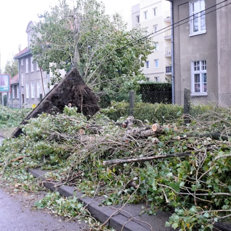 Tczew - Skutki wichury w Tczewie