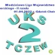 Tczew - Młodzieżowa Liga Województwa Pomorskiego