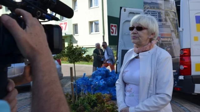 Tczew - Zebrali 78 tysięcy nakrętek dla 22-letniej tczewianki z porażeniem mózgowym