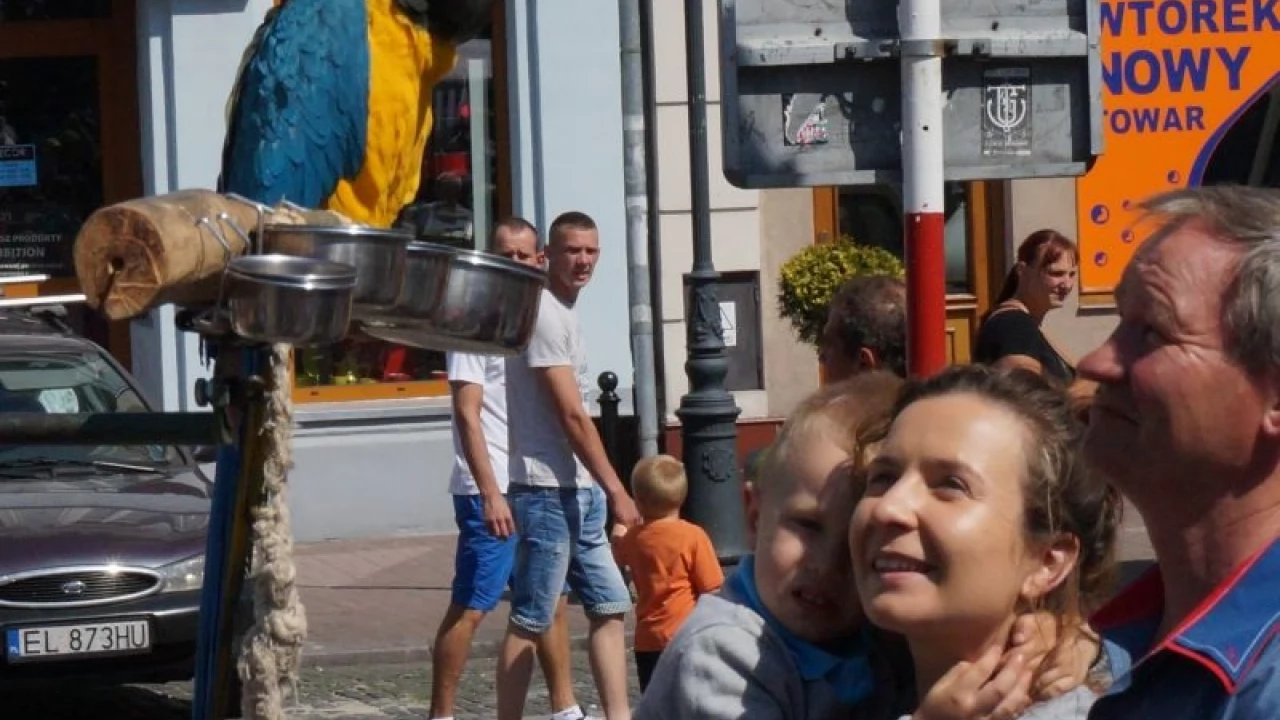 Tczew - Pchli Targ 2014
