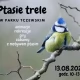 Tczew - Nurkuj w zielone. Spotkania na łonie przyrody
