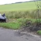 Tczew - Wrak na poboczu. Dlaczego nikt tego nie sprząta?