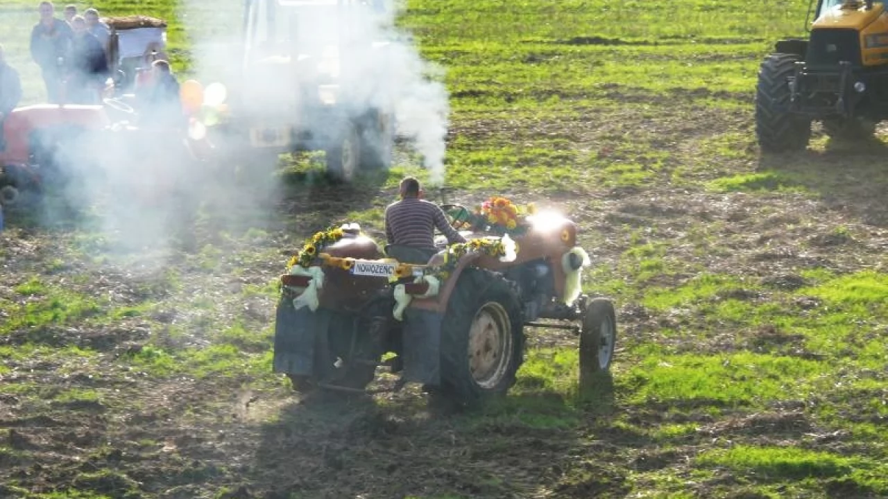 Tczew - Piknik Opaleński - wyścigi traktorów