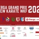 Tczew - Zbliża się Międzynarodowy turniej karate WKF