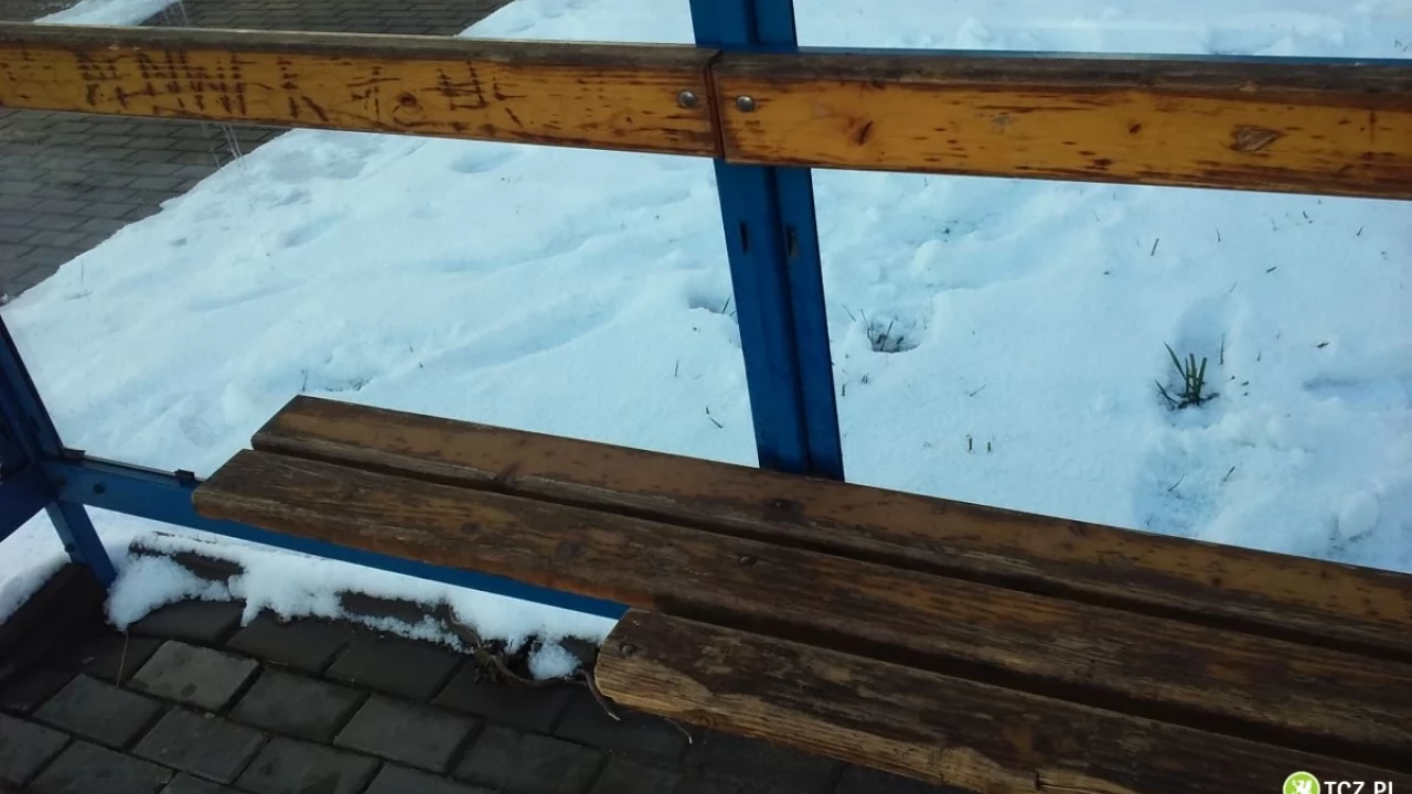 Tczew - Szok! Tak wandale niszczą nasze miasto