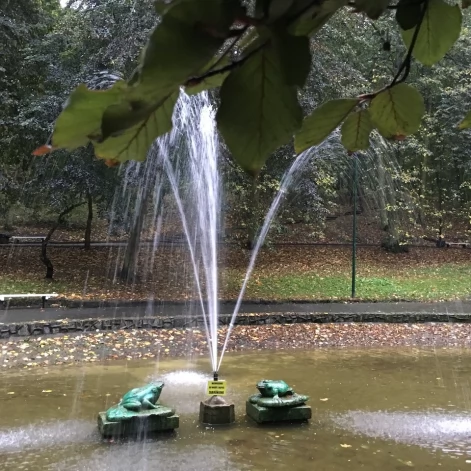 Tczew - Park Miejski jesienią z dnia 7.10.2016