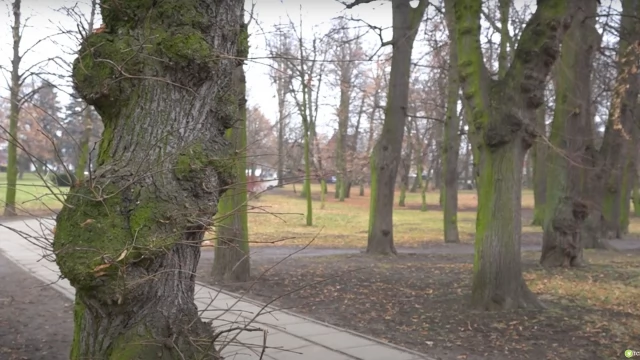 Tczew - Park Kopernika za 80-metrowe mieszkanie. Ugoda parafii z miastem coraz bliżej