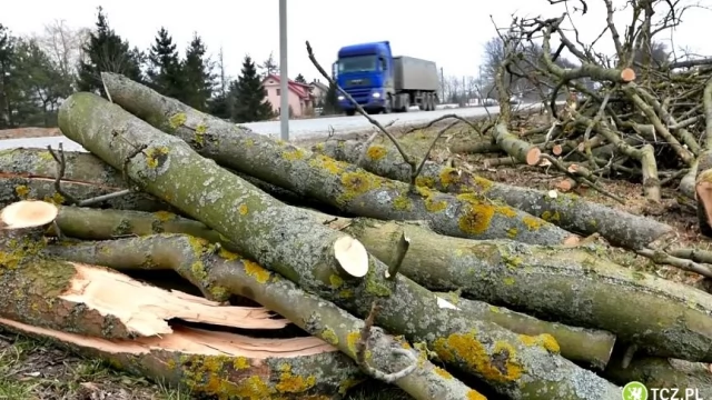 Tczew - Trwają prace na "22". Jeszcze w tym miesiącu nowa organizacja ruchu