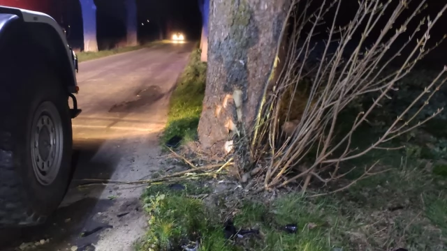 Tczew - Turze - Szczerbięcin. Auto uderzyło w drzewo i spłonęło