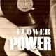 Tczew - Saturday Flower Night - sobotnia noc z najlepszymi hitami