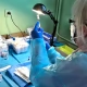 Tczew - Pomorskie w czołówce pod względem liczby zaszczepionych