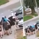 Tczew - Znów pseudokibice na Zatorzu! Ustawka między fanami Arki i Lechii