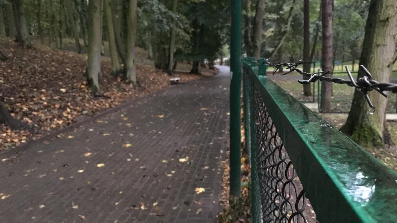 Tczew - Park Miejski jesienią z dnia 7.10.2016