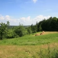 Tczew - Spalarnia, czy nowe miejsca pracy? Inwestycja w Opaleniu niepokoi mieszkańców, burmistrz mówi o rozwoju