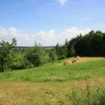 Tczew - Spalarnia, czy nowe miejsca pracy? Inwestycja w Opaleniu niepokoi mieszkańców, burmistrz mówi o rozwoju