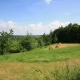 Tczew - Opalenie najpiękniejsze w gminie Gniew