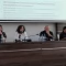 Tczew - Debatowali o bezpieczeństwie