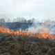 Tczew - Straż apeluje, a i tak wypalają trawy