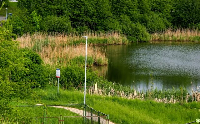 Tczew - Stawek na Górkach do renowacji