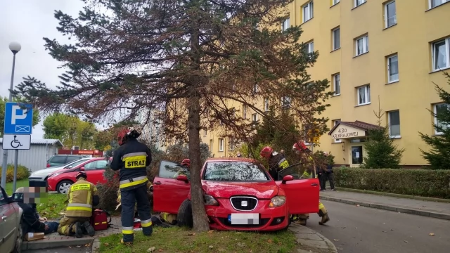 Tczew - Ul. Armii Krajowej. Po zderzeniu z osobówką drzewo spadło na spacerowicza [WIDEO]