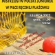 Tczew - Półfinał Mistrzostw Polski w Piłce Ręcznej Plażowej
