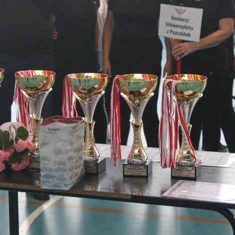 Tczew - Powiatowa Spartakiada Seniorów