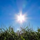 Tczew - Ostrzeżenia II stopnia przed upałem. Temperatura może być groźna dla zdrowia i życia!