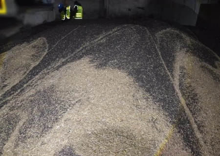 Tczew - Policjanci odzyskali 20 ton rzepaku