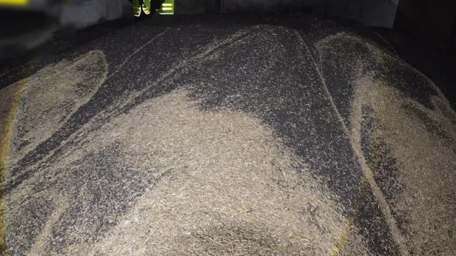 Tczew - Policjanci odzyskali 20 ton rzepaku