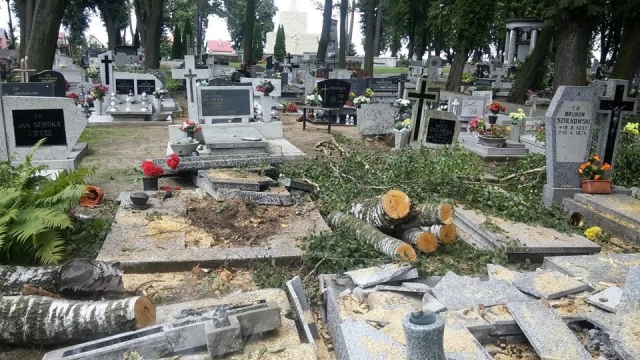 Tczew - Trwa usuwanie skutków nawałnicy. W Pelplinie przeszła m. in. przez cmentarz 
