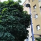 Tczew - Źle zamontowane oświetlenie