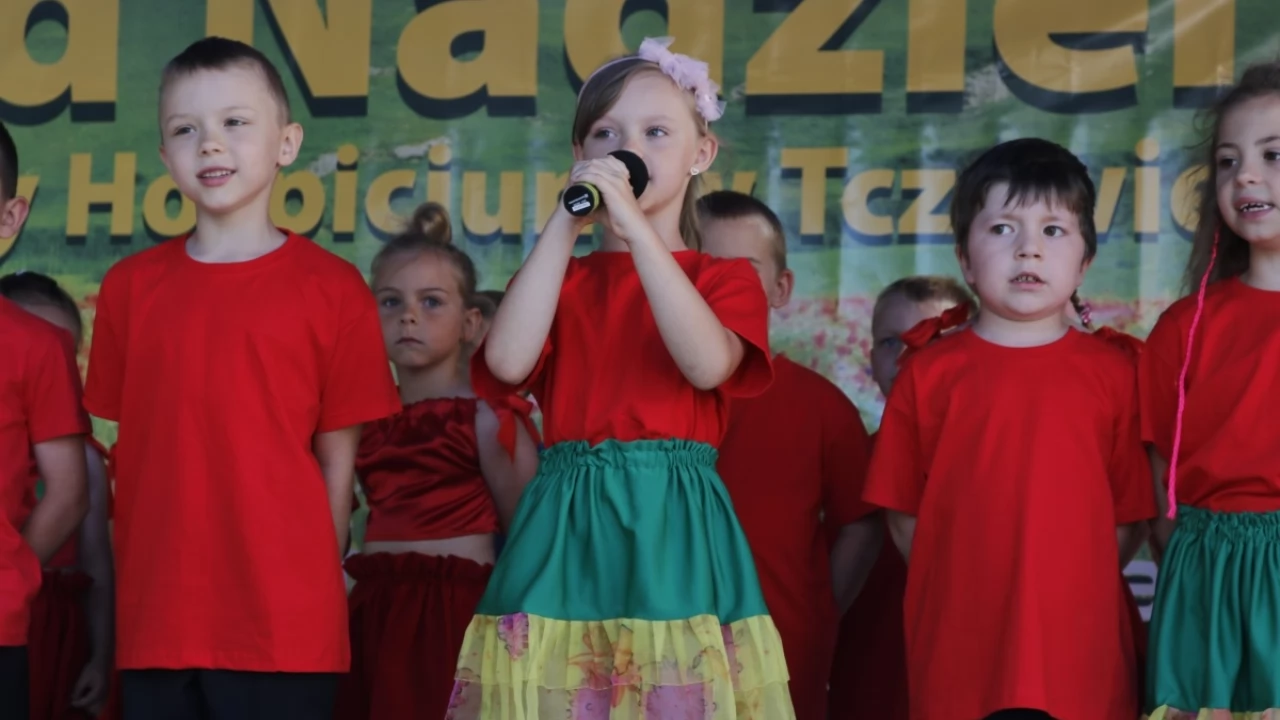 Tczew - XIV Edycja Ogrodów Nadziei - uzbierano ponad 30 tysięcy