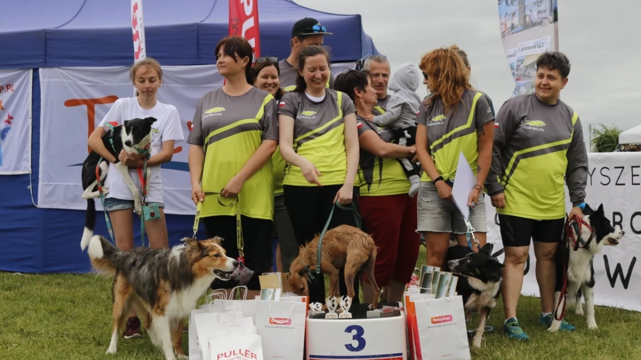 Tczew - Zawody Flyball, czyli wyścig psich sztafet