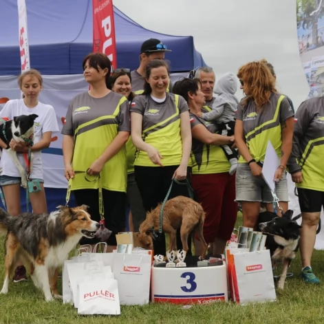 Tczew - Zawody Flyball, czyli wyścig psich sztafet
