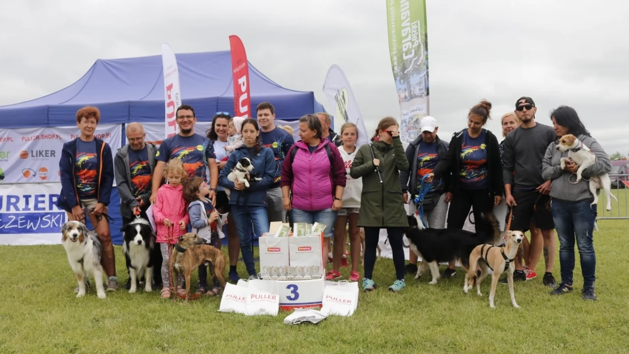 Tczew - Zawody Flyball, czyli wyścig psich sztafet