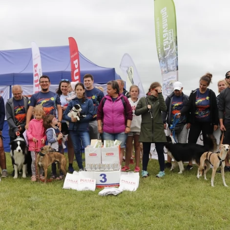 Tczew - Zawody Flyball, czyli wyścig psich sztafet