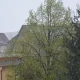Tczew - Śnieg, przymrozki... Co z tą wiosną?