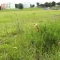 Tczew - Na Czyżykowie powstanie wodny plac zabaw?