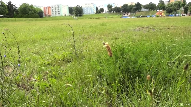 Tczew - Na Czyżykowie powstanie wodny plac zabaw?