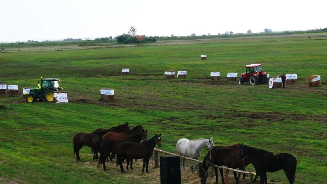 Tczew - Piknik Opaleński - wyścigi traktorów