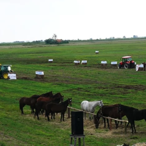 Tczew - Piknik Opaleński - wyścigi traktorów