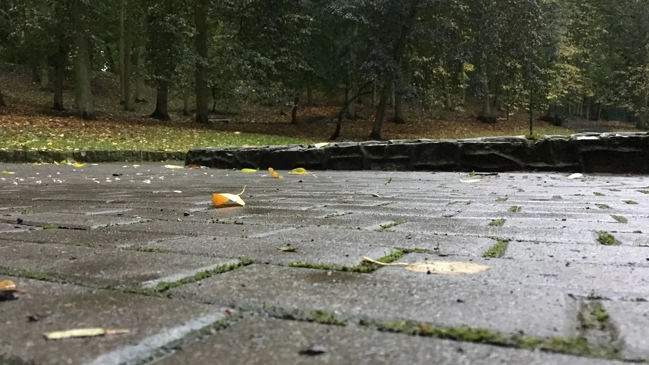 Tczew - Park Miejski jesienią z dnia 7.10.2016