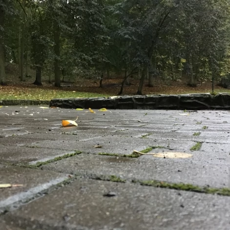 Tczew - Park Miejski jesienią z dnia 7.10.2016