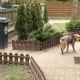 Tczew - Nie sprzątasz po psie, albo nie dbasz o niego? Ta akcja może w ciebie uderzyć