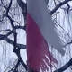Tczew - Czy tak ma wyglądać flaga państwowa? (Tcz24)
