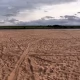 Tczew - Niepokojąco niski stany Wisły - łachy, utrudniona żegluga